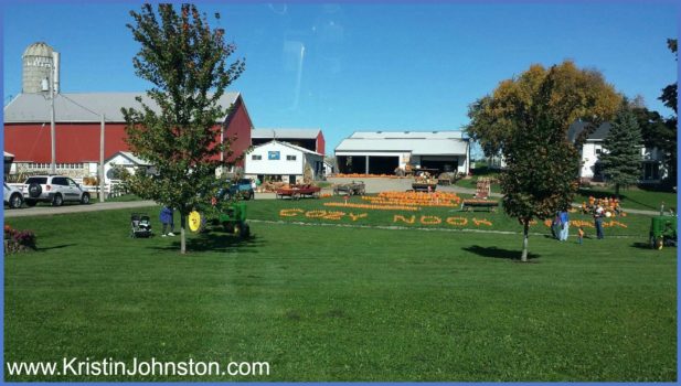 Houses for Sale in Waukesha WI - No matter where you live in Waukesha WI, it’s always a short distance away from office buildings, shopping centers, parks, churches, and schools!